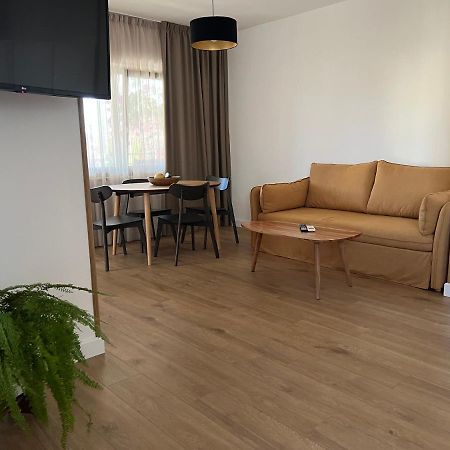 Paola Cozy Studio Rovinj Luaran gambar