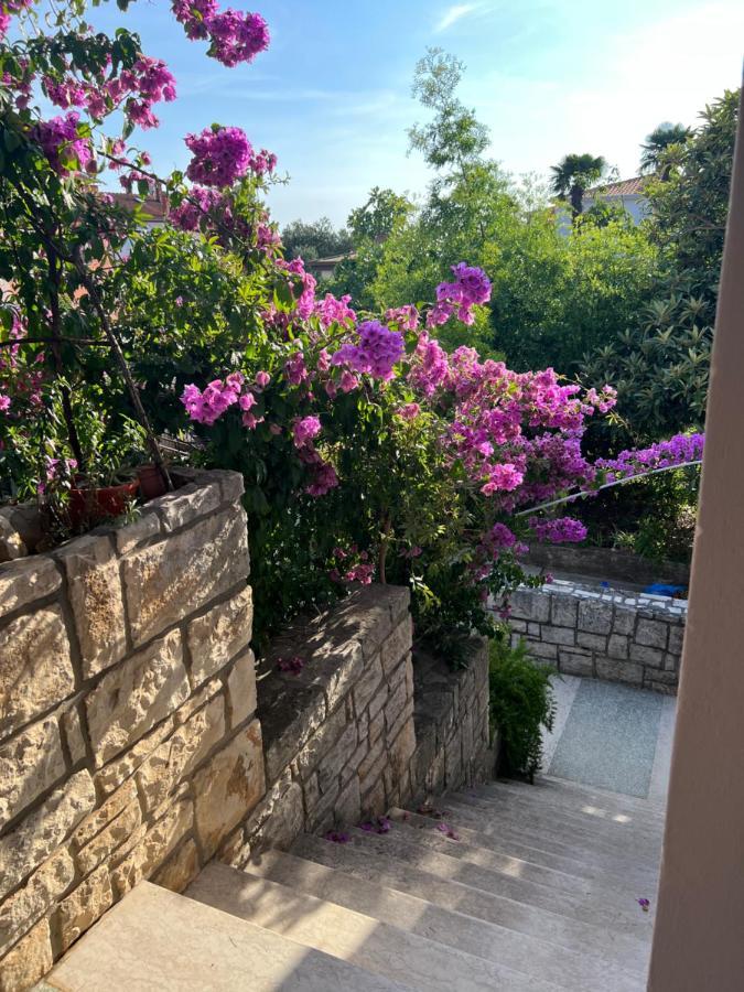 Paola Cozy Studio Rovinj Luaran gambar